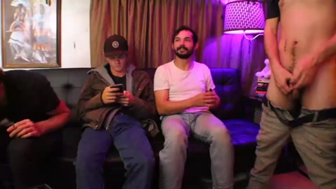 hollandhousestudios  28-01-2023